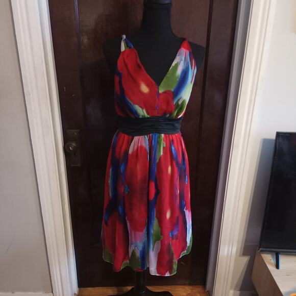 The Limited Empire Waist Dress Watercolor Tie Dye Red Poppy Floral Chiffon Sz 4 - Picture 9 of 11